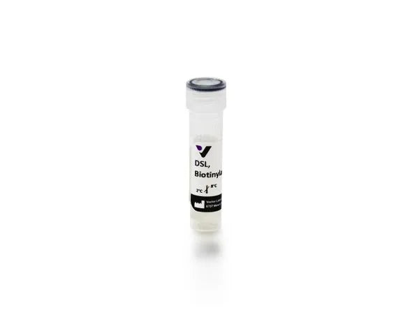 Image of VECTB1185 - Datura stramonium lectin (DSL), Biotinylated