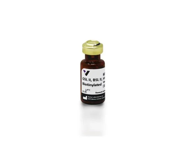 Image of VECTB1215 - Griffonia (Bandeiraea) simplicifolia lectin II (GSL II, BSL II), Biotinylated