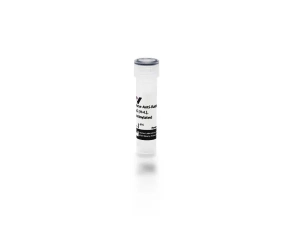 Image of VECTBA1100 - Anti-Rabbit IgG (H+L), made in horse, Biotinylated, 1.5mg