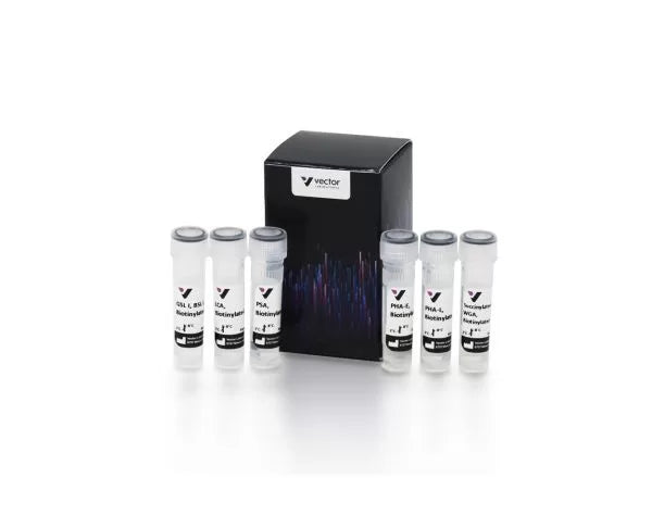 Image of VECTBK2100 - Biotinylated Lectin Kit II