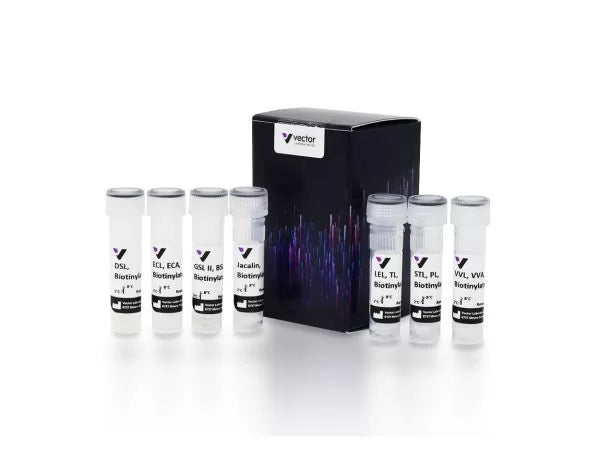 Image of VECTBK3000 - Biotinylated Lectin Kit III