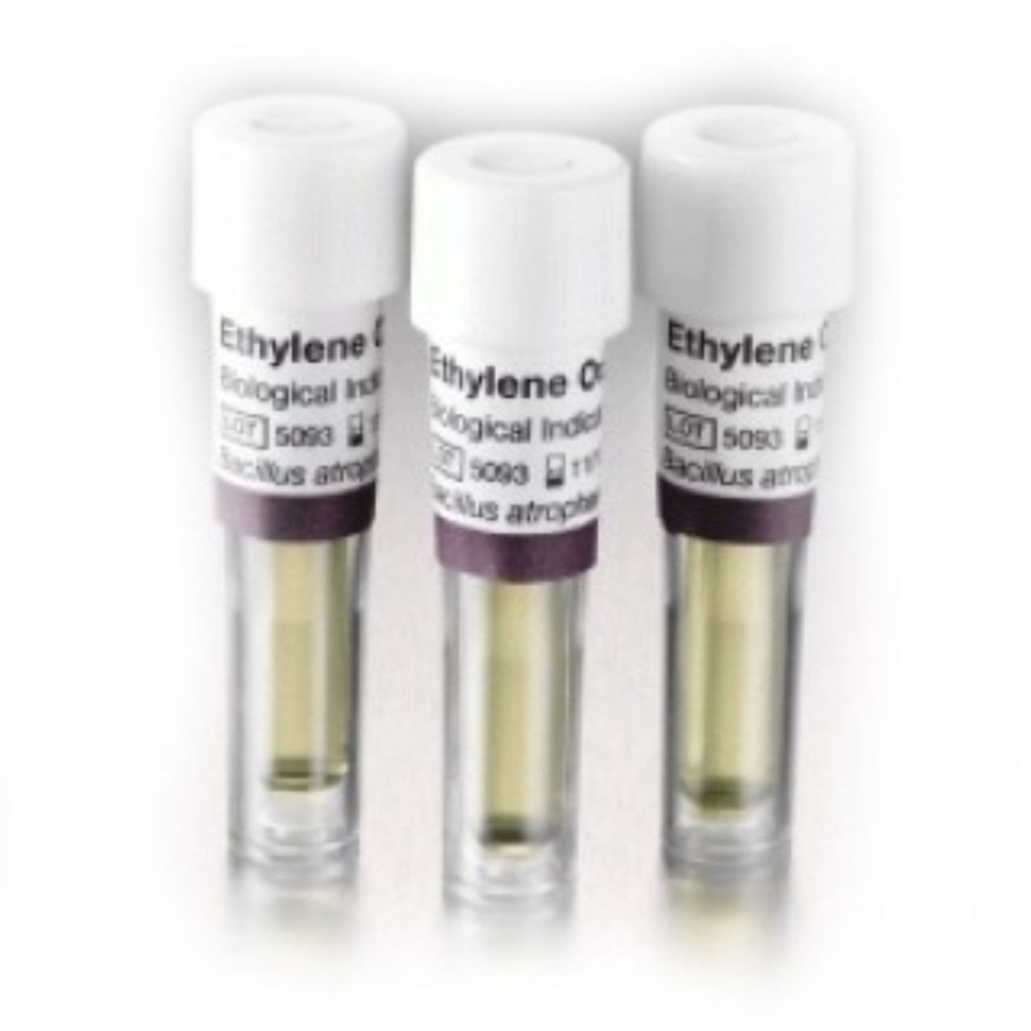 Traditional Self-Contained Biological Indicators (SCBI), Bacillus Atrophaeus, Cell Line 9372, 10^6, 50/pk