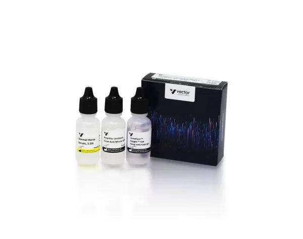 Image of VECTDK2594 - VectaFluor Excel R.T.U. Antibody Kit, DyLight 594, Anti-Mouse