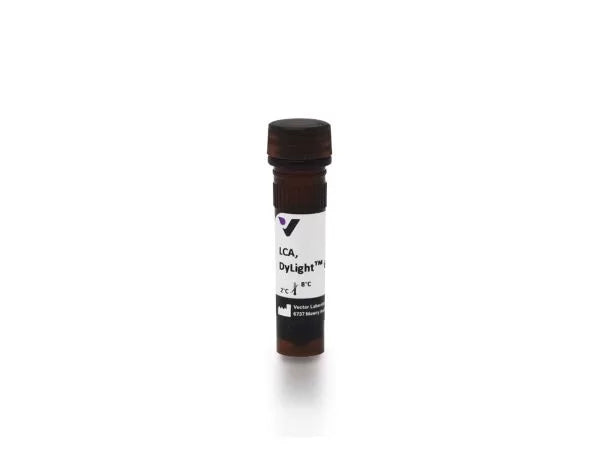Image of VECTDL1048 - DyLight 649 Lens Culinaris Agglutinin (LCA, LcH), Affinity Purified