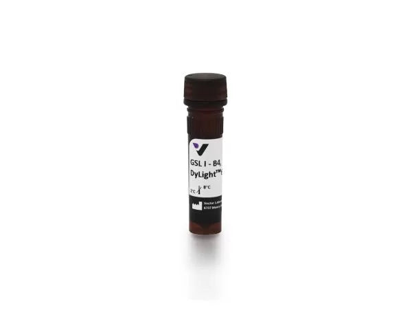 Image of VECTDL1208 - Griffonia Simplicifolia Lectin I (GSL I) isolectin B4, DyLight® 649