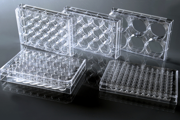 96 Well Cell Culture Plate, White Frame with Clear PS Bottom, Flat bottom, TC Treated, Sterile, 1/pack, 30/cs