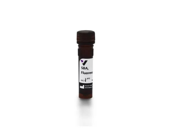 Soybean agglutinin (SBA), Fluorescein labeled