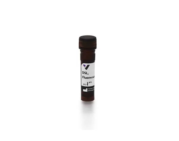 Image of VECTFL1181 - Datura stramonium lectin (DSL), Fluorescein labeled