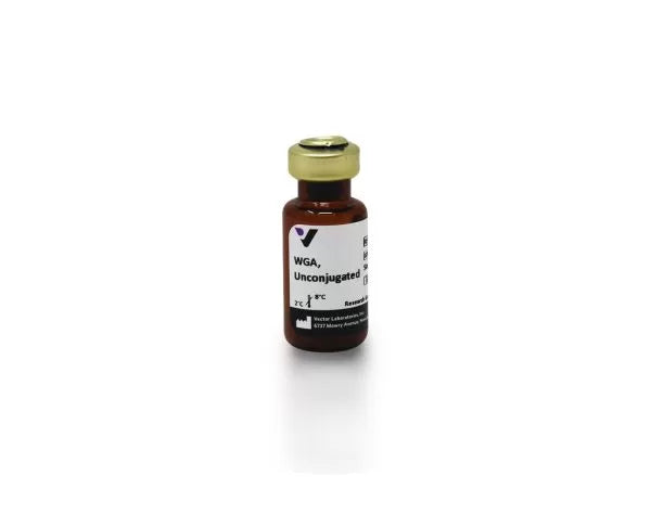 Image of VECTL102025 - Wheat germ agglutinin (WGA), Unconjugated, 25 mg
