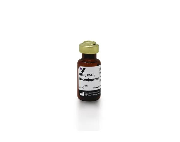 Image of VECTL1100 - Griffonia (Bandeiraea) simplicifolia lectin I (GSL I, BSL I), Unconjugated