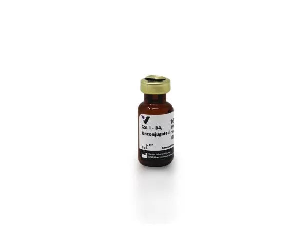 Image of VECTL1104 - Griffonia Simplicifolia Lectin I (GSL I) isolectin B4, Unconjugated