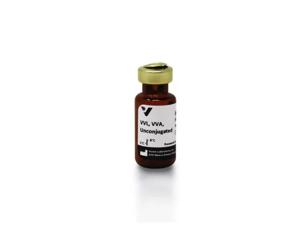 Image of VECTL1230 - Vicia villosa lectin (VVL, VVA), Unconjugated