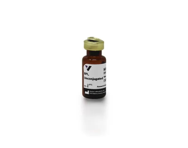 Bauhinia purpurea lectin (BPL), Unconjugated