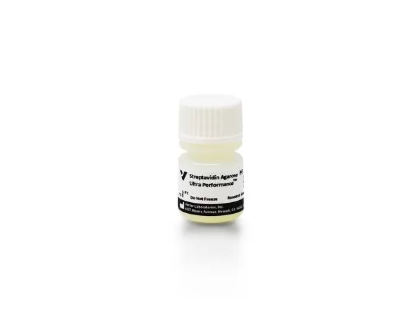 Image of VECTN1000002 - Streptavidin Agarose Ultra Performance™