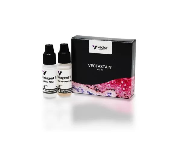 VECTASTAIN ABC-Peroxidase Kit, Standard (Reagent A and B only)