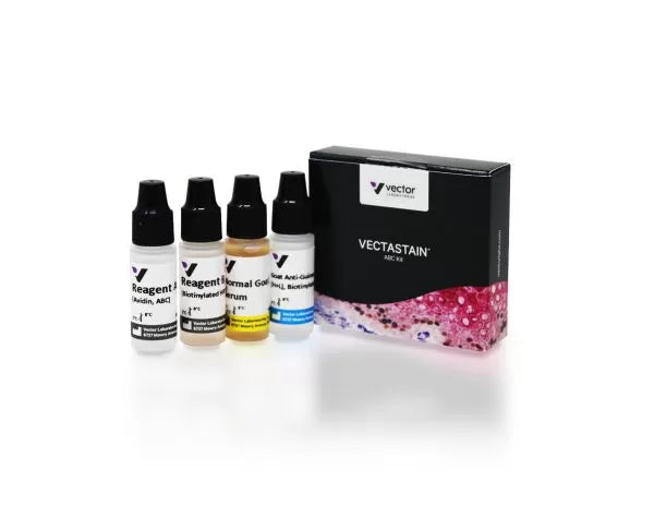 Image of VECTPK4007 - VECTASTAIN ABC-Peroxidase Kit, Guinea Pig IgG