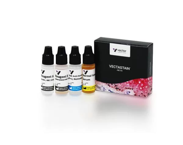 VECTASTAIN Elite ABC-Peroxidase Kit, Human IgG