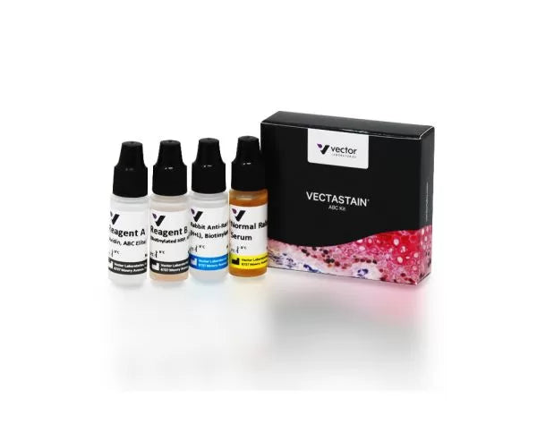 VECTASTAIN Elite ABC-Peroxidase Kit, Rat IgG