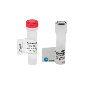 Antibodies and ELISAs