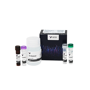 Biomolecules and Reagents