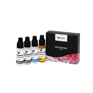 ImmunoDetection
