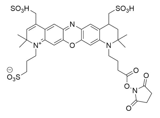 MB 680R NHS Ester - 1 mg