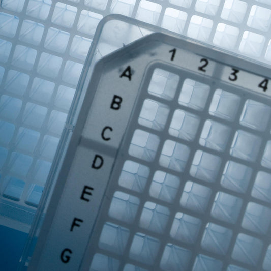 384-Well PlateOne Conical Bottom Polypropylene Plate, 20/Sleeve, 80/Case, Natural, Sterile