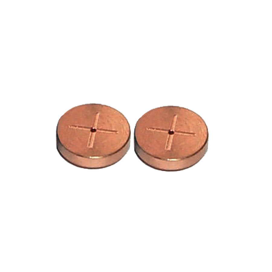 Inlet Seals, 0.8 mm Gold Plated Cross Disk for Thermo 1300 and 1310 GCs, 2/pk