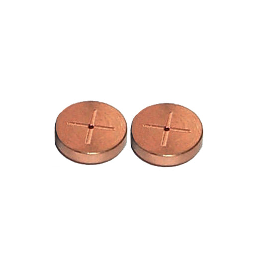 Inlet Seals, 0.8 mm Gold Plated Cross Disk for Thermo 1300 and 1310 GCs, 2/pk