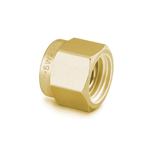 Swagelok Fitting, 1/4" Plug, Brass, 10/pk