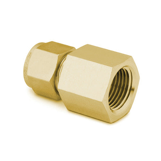Swagelok Fitting, 1/8" to 1/8" NPT Female Connector, Brass, 5/pk