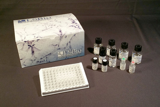 Human BMP7 Quantitative Sandwich ELISA Kit