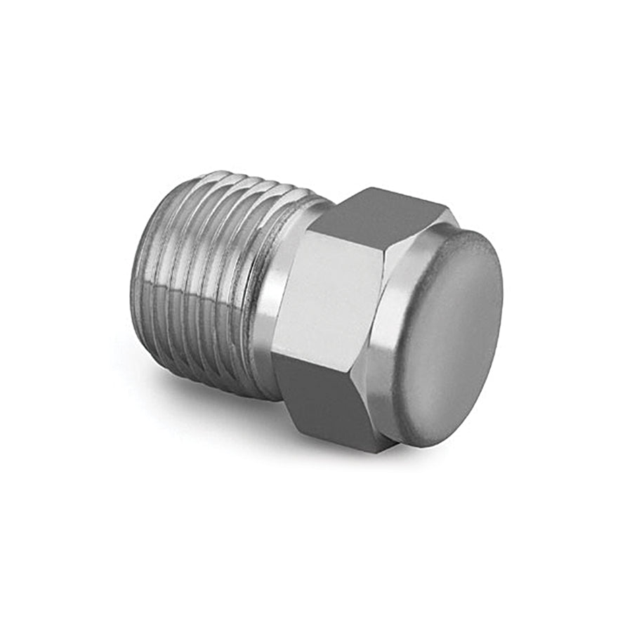 Sample Cylinder 316 SS End Pipe Plug, 1/4" Male NPT