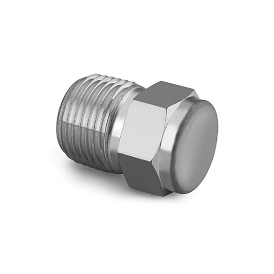 Sample Cylinder 316 SS End Pipe Plug, 1/4" Male NPT