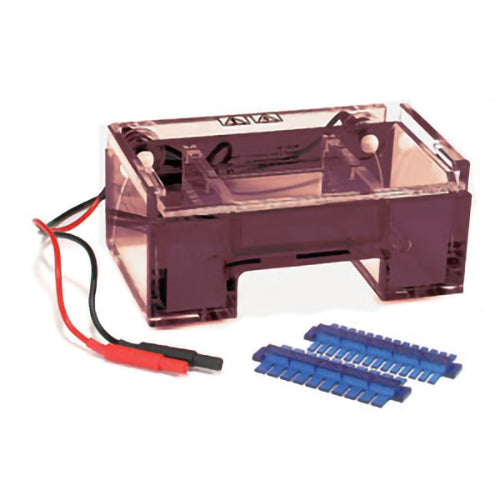 9 x 11 cm DNA Plus Complete Mini Gel System, Includes Double-Sided 10 and 14 Tooth Combs