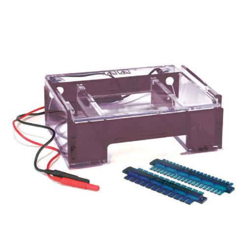 12 x 14 cm DNA Plus Complete Mini Gel System, Includes Double-Sided 12 and 20 Tooth Combs