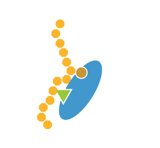 **BRD2 Bromodomain 2