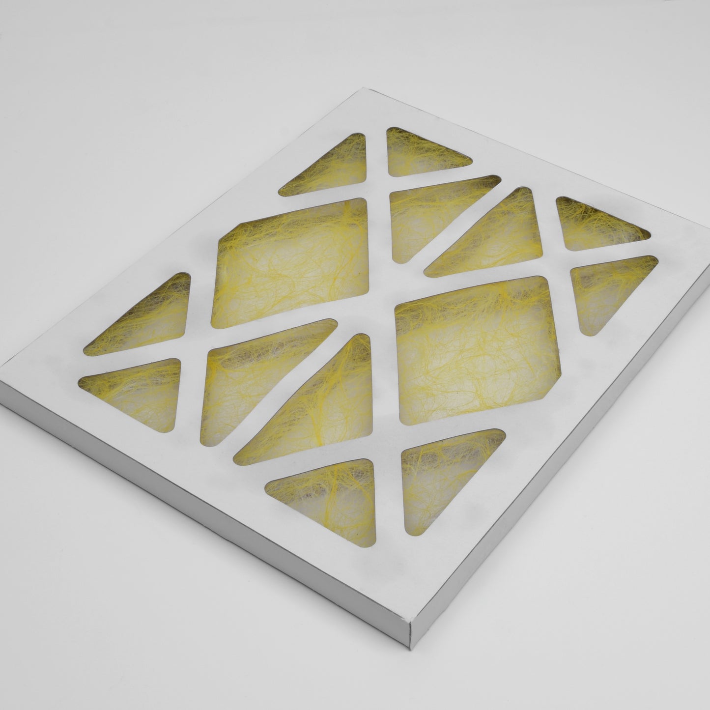 Air Intake Filter, for Sciex™ , Similar to OEM # 1003712