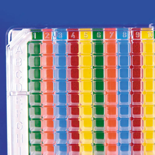 Multi-Color Well Orienter For 384-Well Plates, Vertical Stripes of Color, 2/Pack