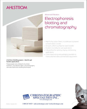Chromatography and Blotting Transfers