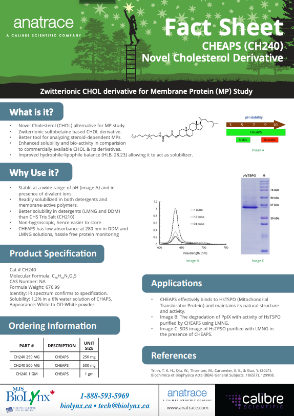 CHEAPS (CH240) Novel Cholesterol Derivative Fact Sheet