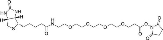 Biotin-PEG4-NHS Ester - 100 mg