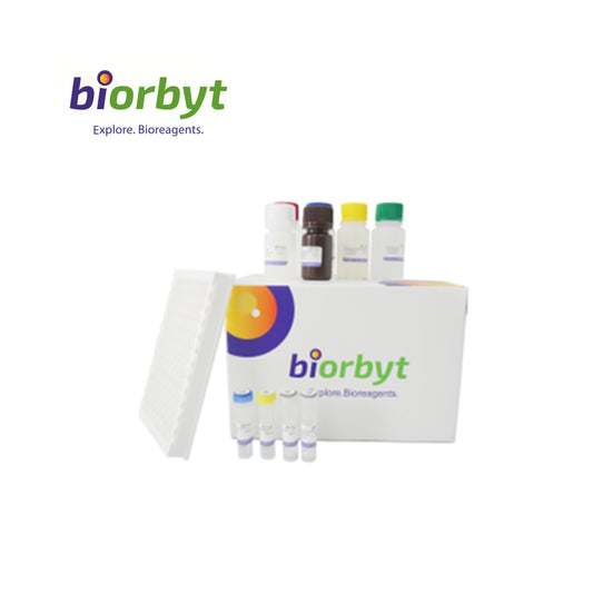 ***Human Lysyl Oxidase Like Protein 2 (LOXL2) ELISA Kit, 96 Tests