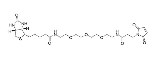 Biotin-PEG3-Maleimide - 25 mg