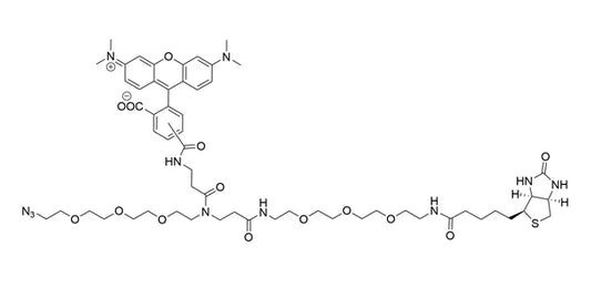 TAMRA Biotin Azide - 5 mg