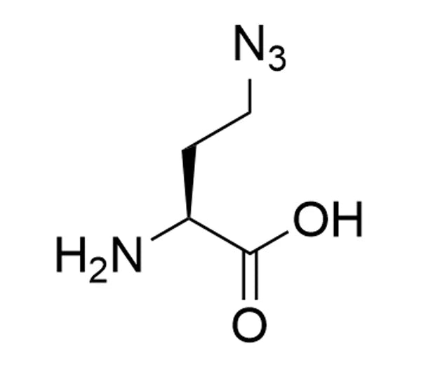 Image of VECTCCT106625 - L-Azidohomoalanine (AHA), 25 mg