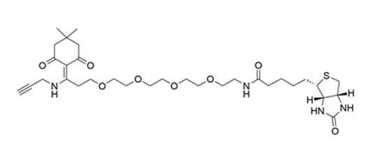 Dde Biotin Alkyne - 1 mg