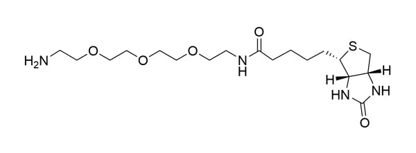 Image of VECTCCT1187100 - Biotin-PEG3-Amine - 100 mg