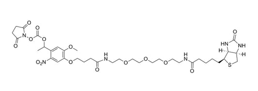 ***PC Biotin-NHS ester - 25 mg