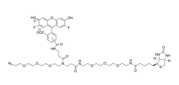 Fluorescein Biotin Azide - 5 mg